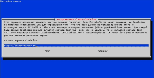 Частное зеркало