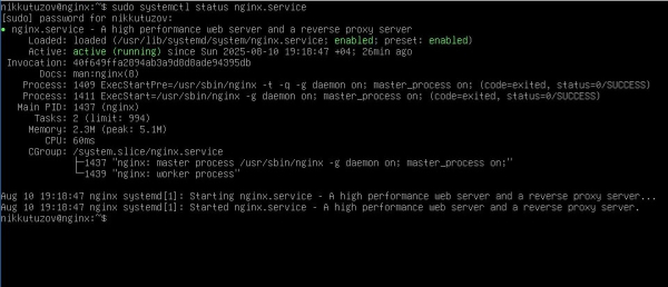 Проверка работоспособности nginx Проверка работоспособности nginx
