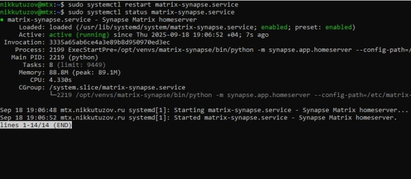 Перезапуск matrix-synapse