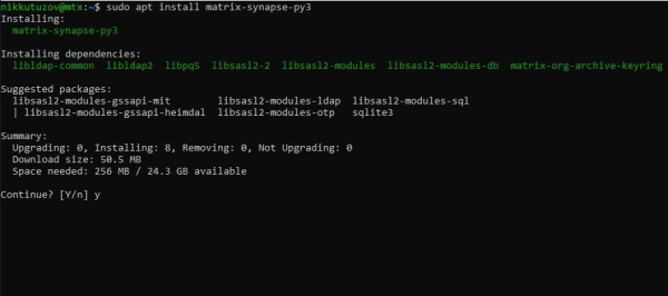Установка synapse