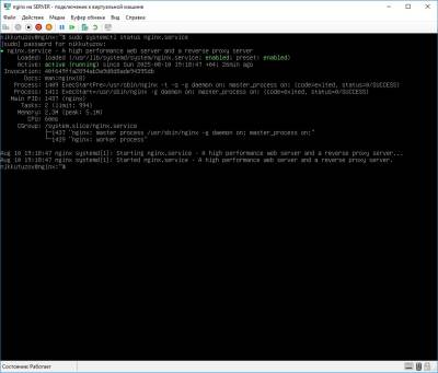 Проверка работоспособности nginx Проверка работоспособности nginx